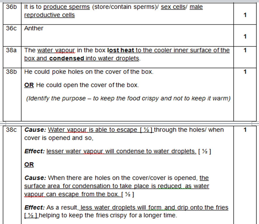 Correction of homework page 43 2as 05 image