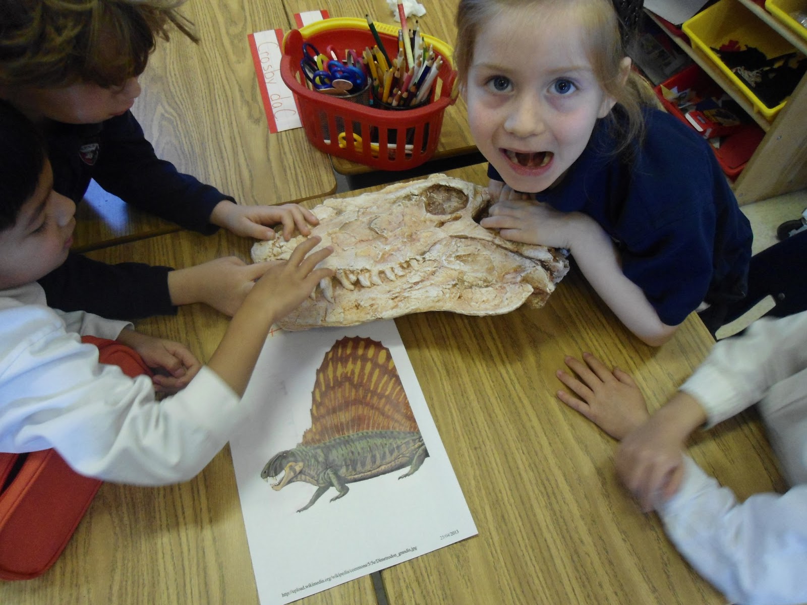 The Senior Kindergarten Class A visit from a paleontologist!