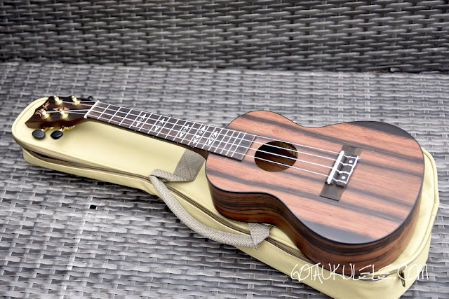 Ukulele 2024 flight concert