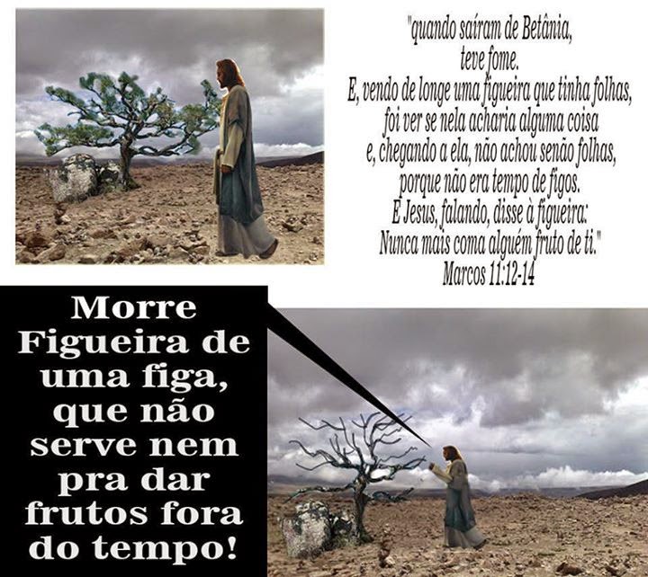 Ateu Ignorante A parábola da figueira segundo Jesus Ateu Ignorante A parábola da figueira segundo Jesus