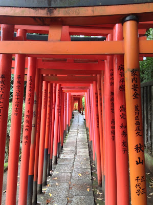 Nezu Shrine torii gates