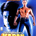 Karan Arjun