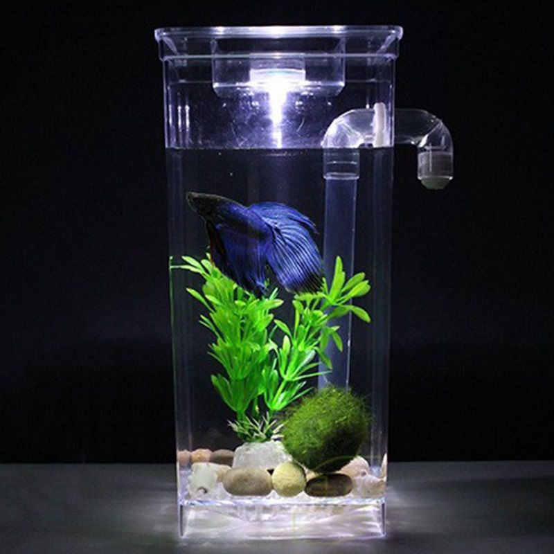 Top Betta Fish Aquarium Decor Secrets Top Betta Fish Aquarium Decor Secrets
