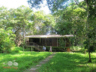 Forest Lodge Type 4 at Bako NP - WireBliss