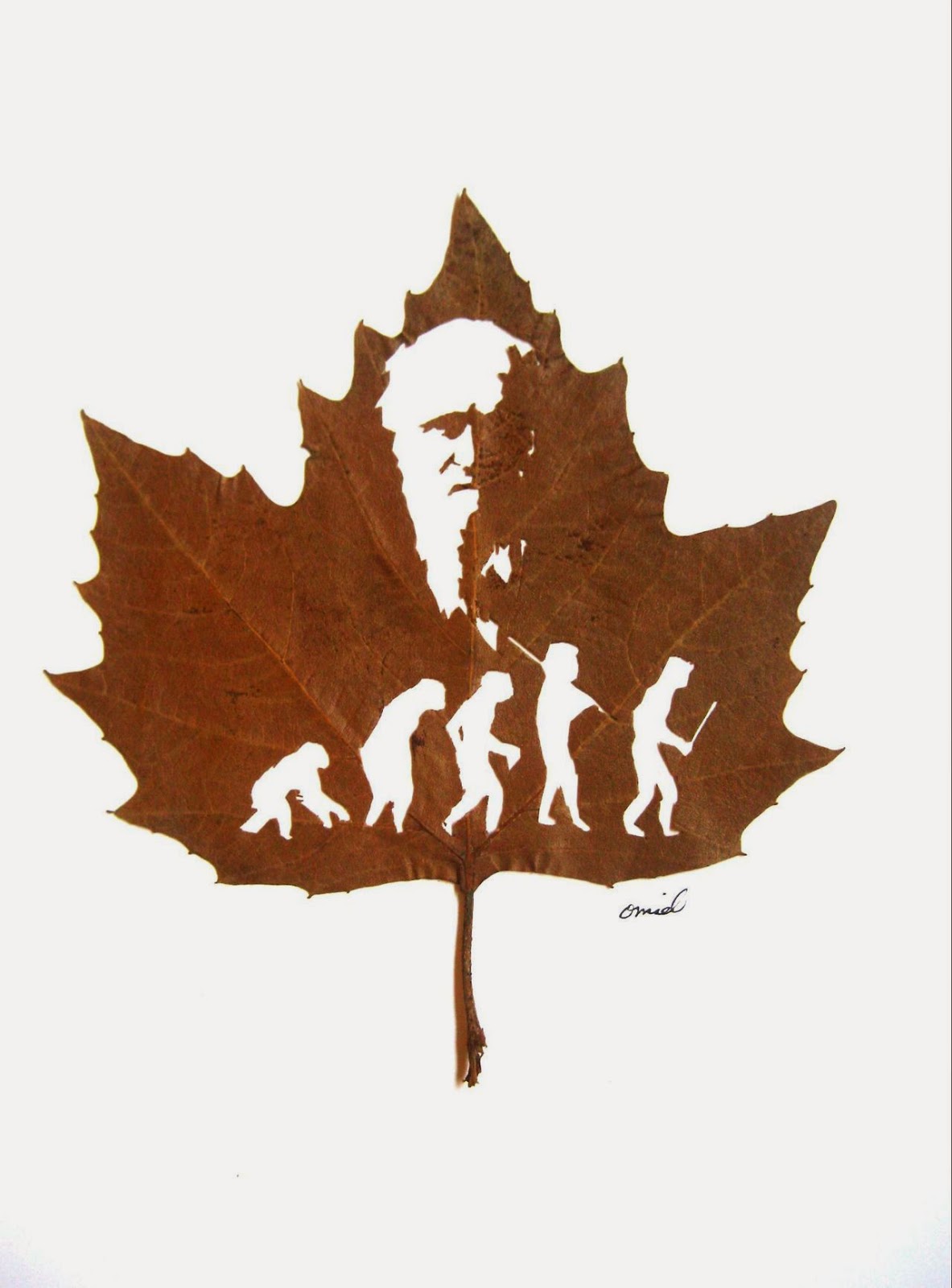 Leaf Cutting Art! Art on Leaves. How He Was Able to Do That? Amazing