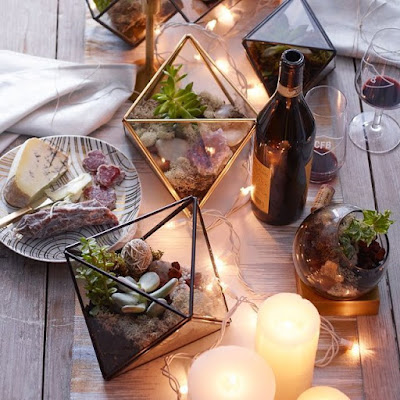 Must Have Terrariums For Your Home Faceted Terrariums
