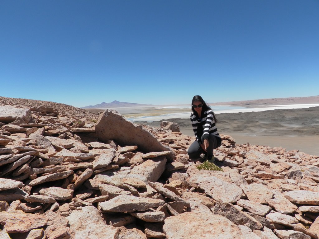 O que fazer no Atacama Salar de Tara O que fazer no Atacama Salar de Tara