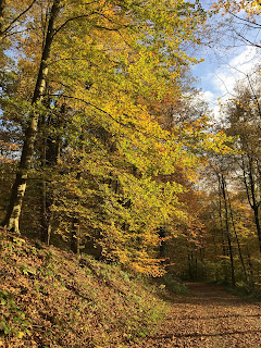 A Walk in the Woods at Remscheid, Germany IMTEX Conference 2018