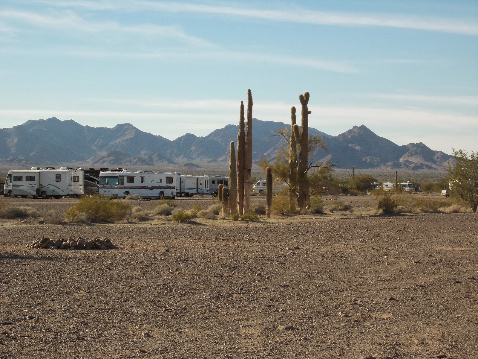 Tarra's Travels Quartzsite, Arizona