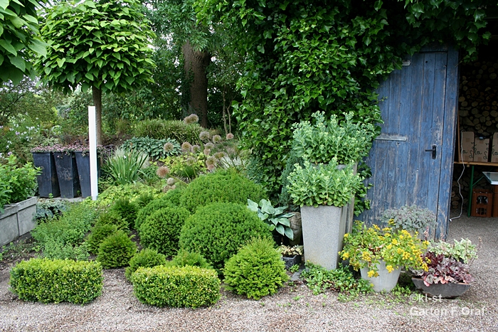 kleinerstaudengarten Zu Besuch im Garten Graf