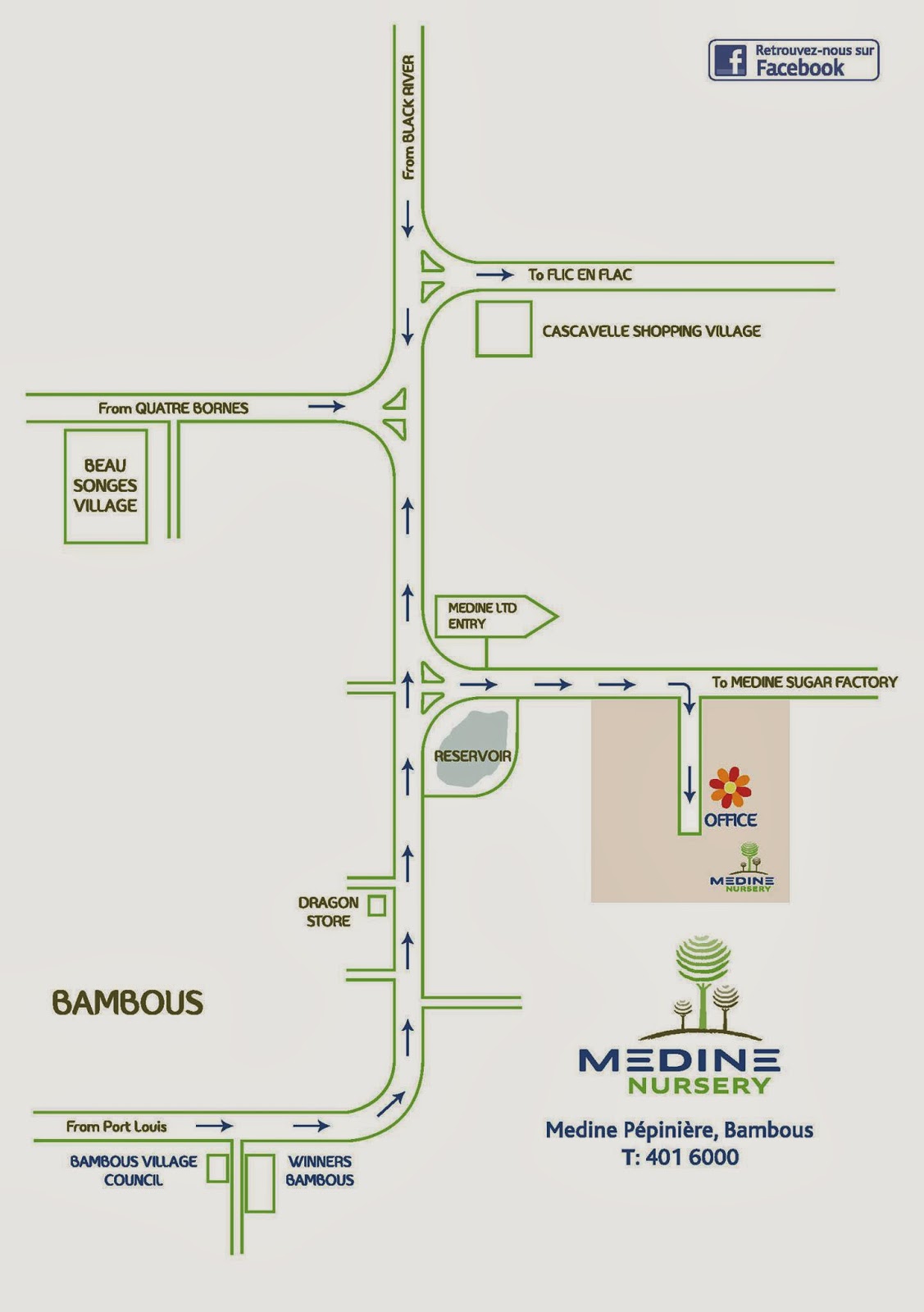 Bonsai Mauritius Promo sur plantes et bonsai a la pepiniere de Medine