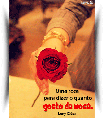 rosa.gif