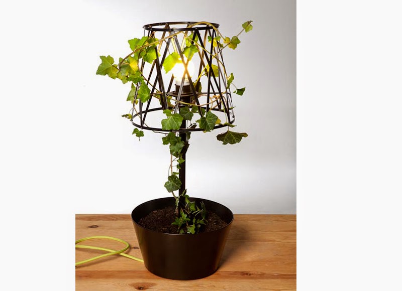 Amazing Flower Pot And Lamp Design