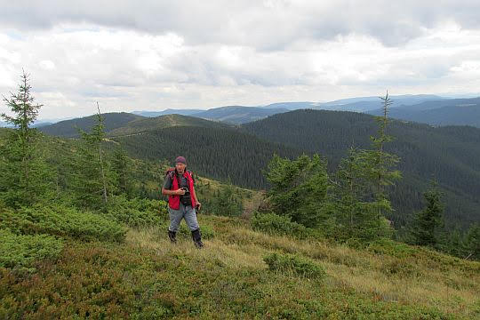 Baba Ludowa (ukr. Баба Людова; 1590 m n.p.m.)