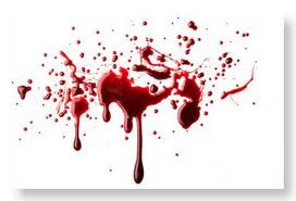 http://famigliagandini.blogspot.it/2013/05/tutta-la-verita-sulla-vicenda-della.html