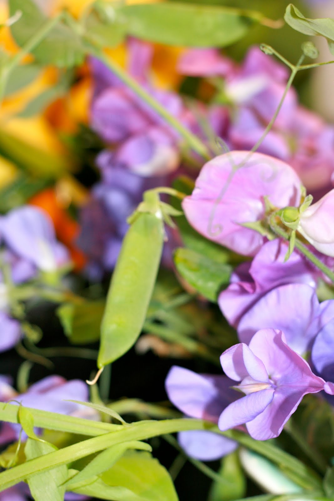 The Polished Pebble Sweet Pea Trellis
