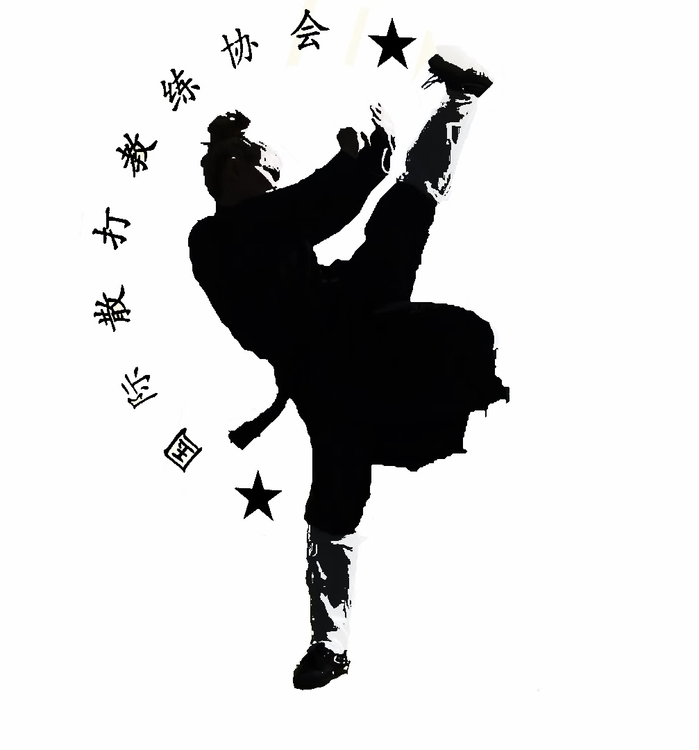 Shaolin - Infantil Kung Fu - Master Paty Lee