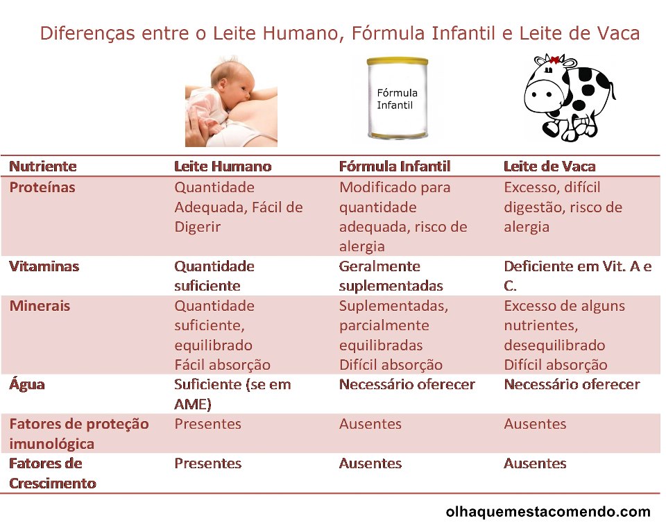 Mama&Bebê: Diferenças entre leite humano, fórmula infantil e leite de vaca