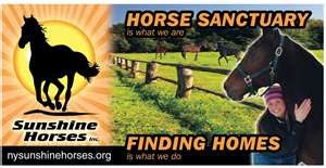 Donate To The Sunshine Horses