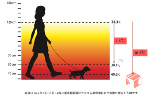temperatura para cães temperatura para cães