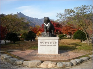 อุทยานแห่งชาติซอรัคซาน (Seoraksan National Park)