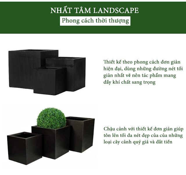 Chậu xi măng đen - 3