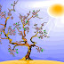 Auxin Hormone Function-The Mechanism of Plant Hormone Distribution