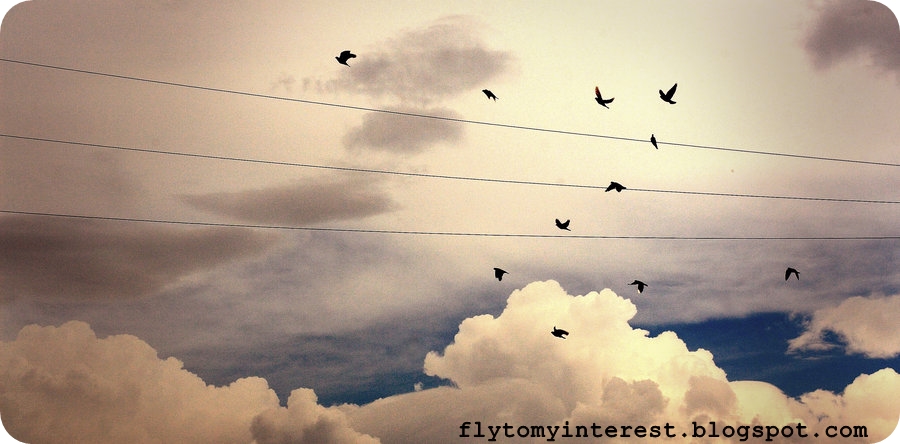 Fly to my interest