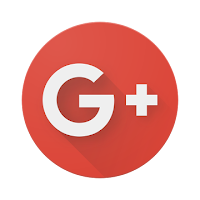 A button for following the gaming blog Very Good Games on Google Plus