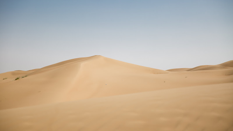 The Arabian Desert