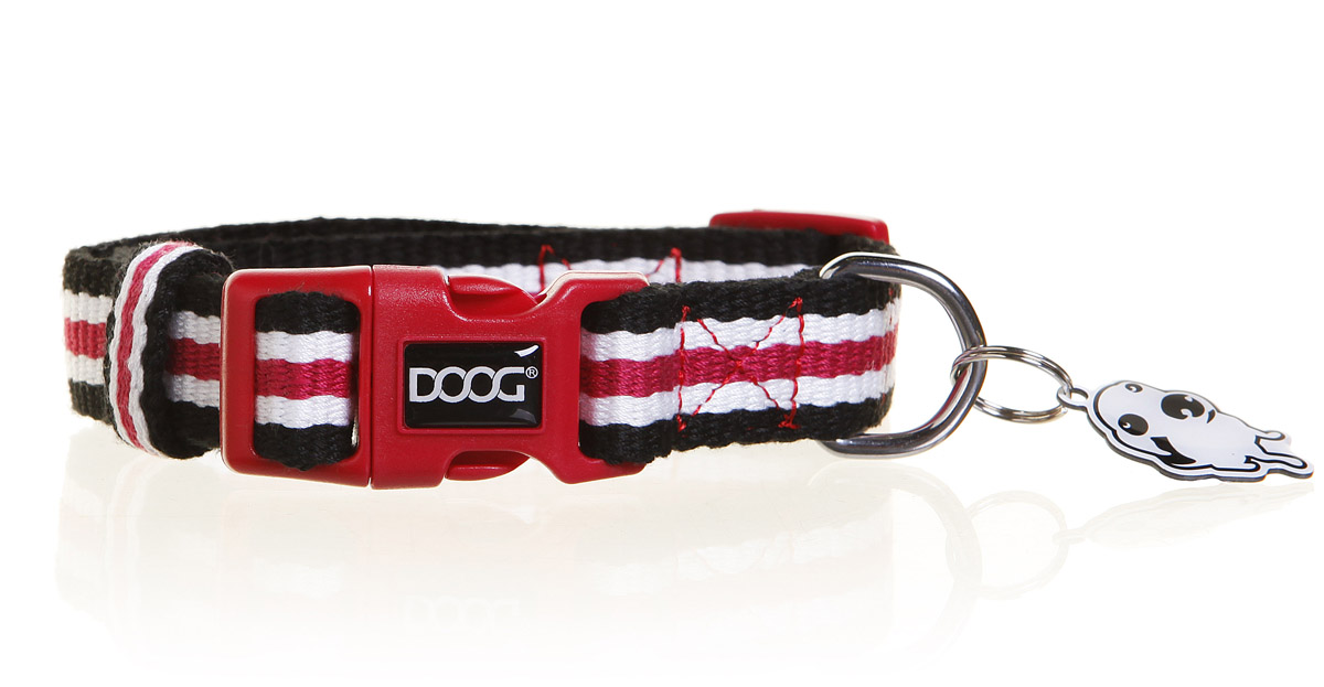 DOOG College Canvas Dog Collars & Leads Australian Dog Lover
