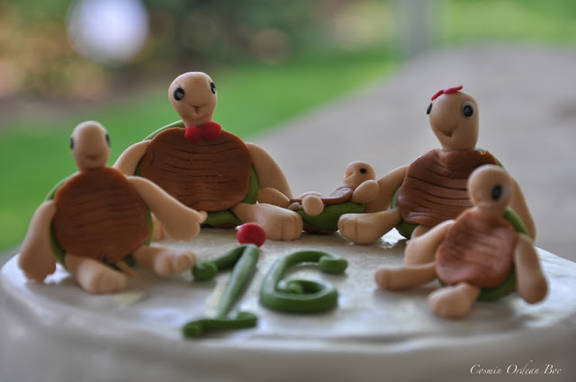 Familia de testoase...