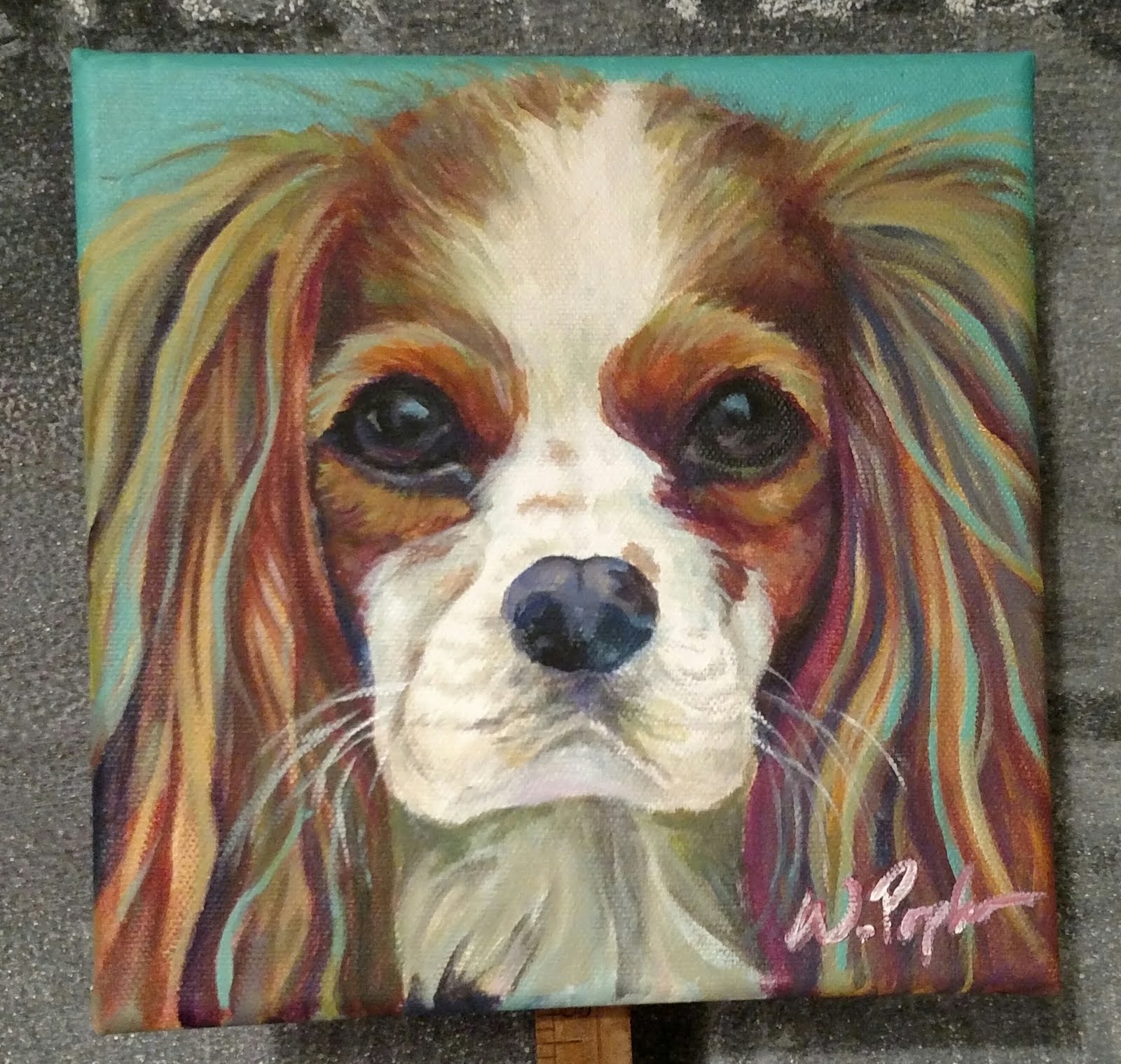 Pet Portrait of a King Charles Spaniel