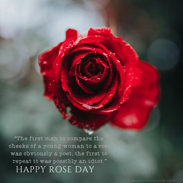 Happy Rose Day Quotes 2019
