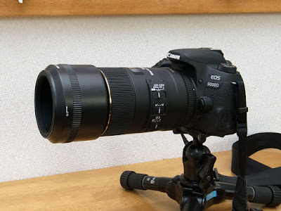 HA680-01 + LH680-03 はフードアダプターの上にレンズフードを装着している感じになります。 SIGMA MACRO 105mm F2.8 EX DG OS HSM + HA680-01 + LH680-03