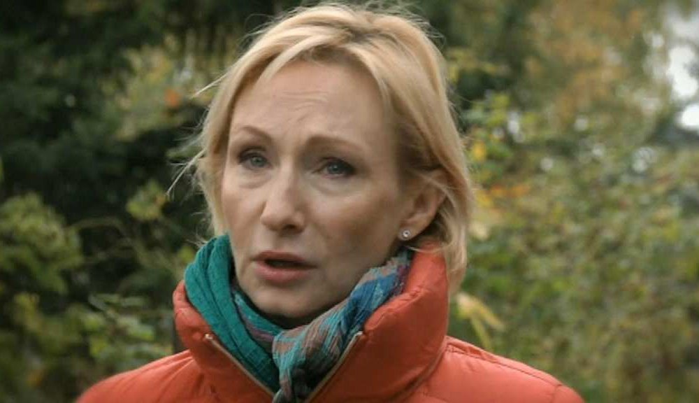 Вдове Вдове