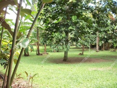 Alquiler de Fincas de Recreo en Antioquia: Finca De Recreo En Santa Fe
