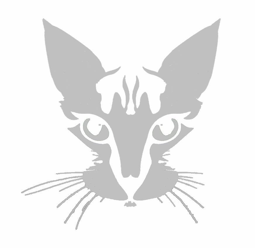 Pumpkin Cat Face Carving Pumpkin Cat Face Carving