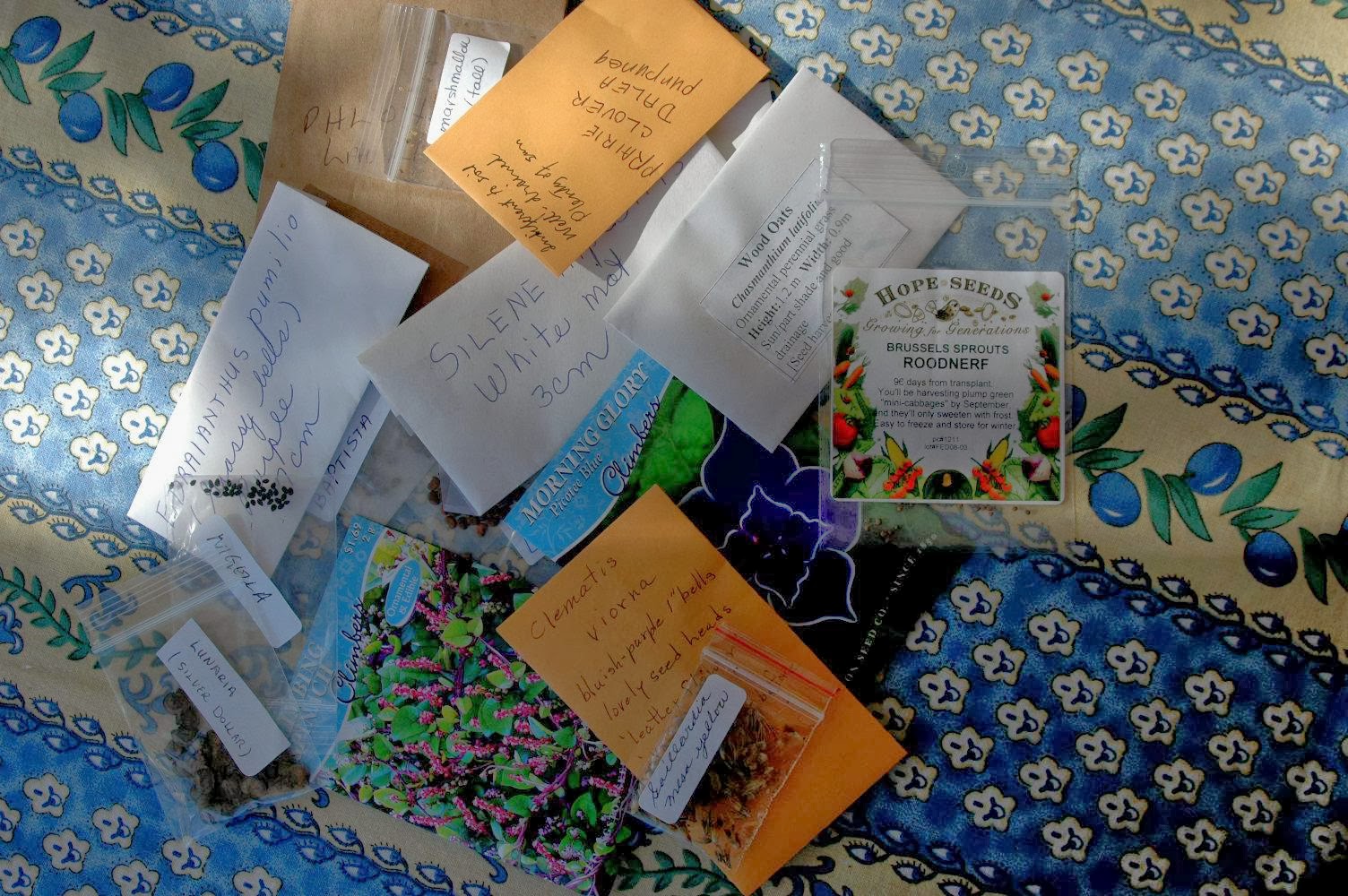 Assortment of seeds from seed exchange
