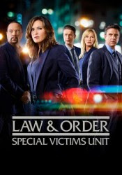 Ley y orden U.V.E. Temporada 20 audio español