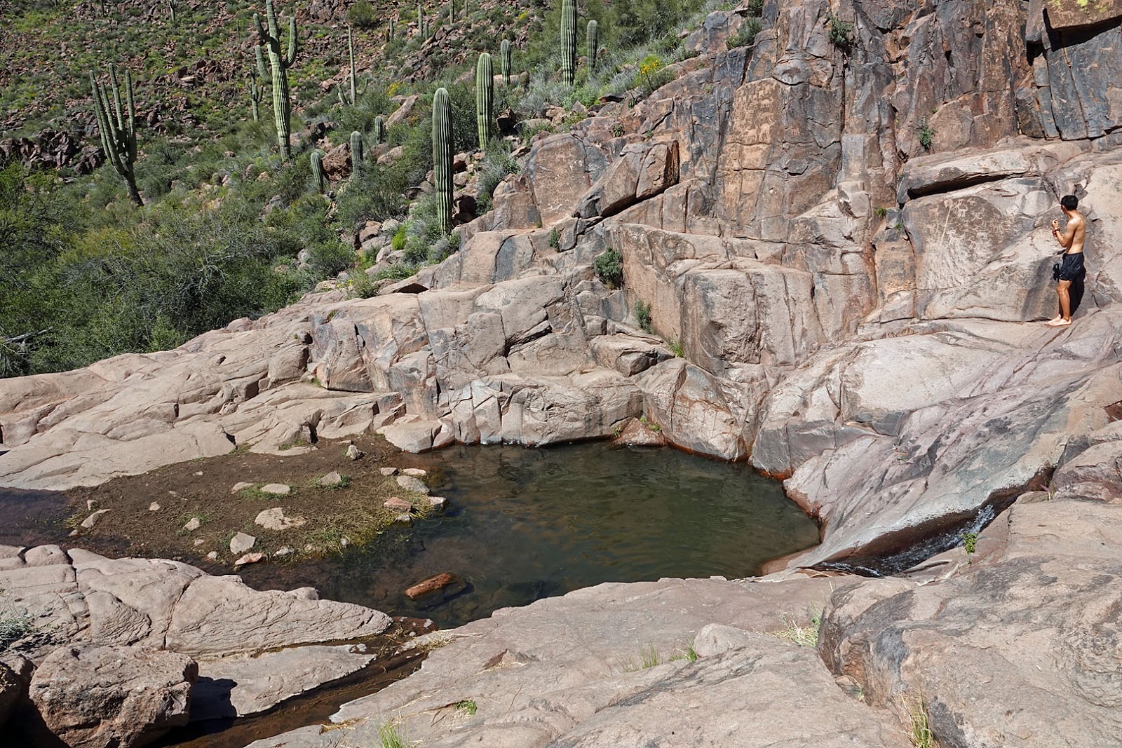 Stan's Travels Gold Canyon, AZ (3/25/2019)