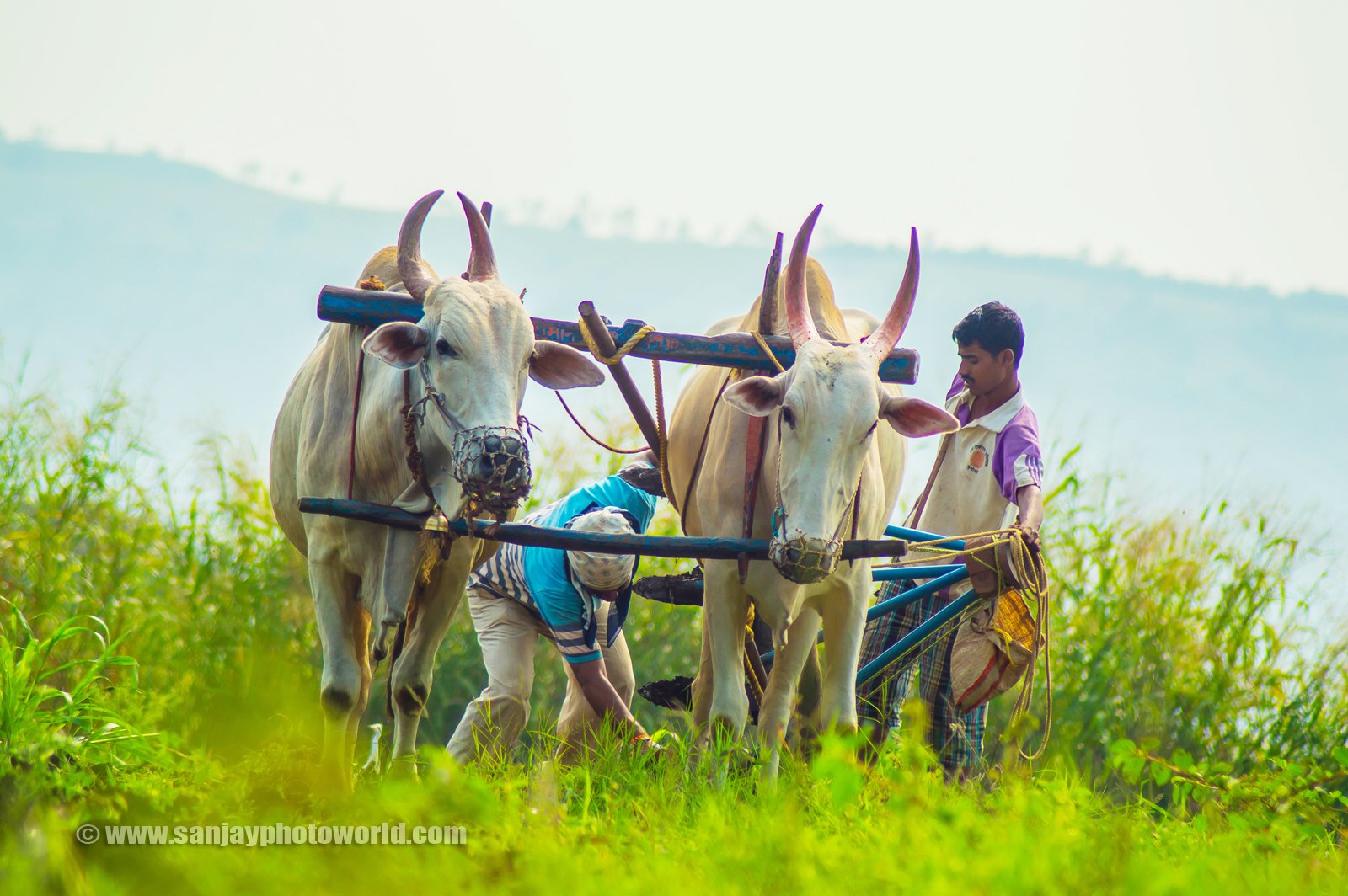 an indian farmer in marathi an indian farmer in marathi