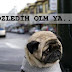 Acilen Yapılması Gereken Uygulamalar