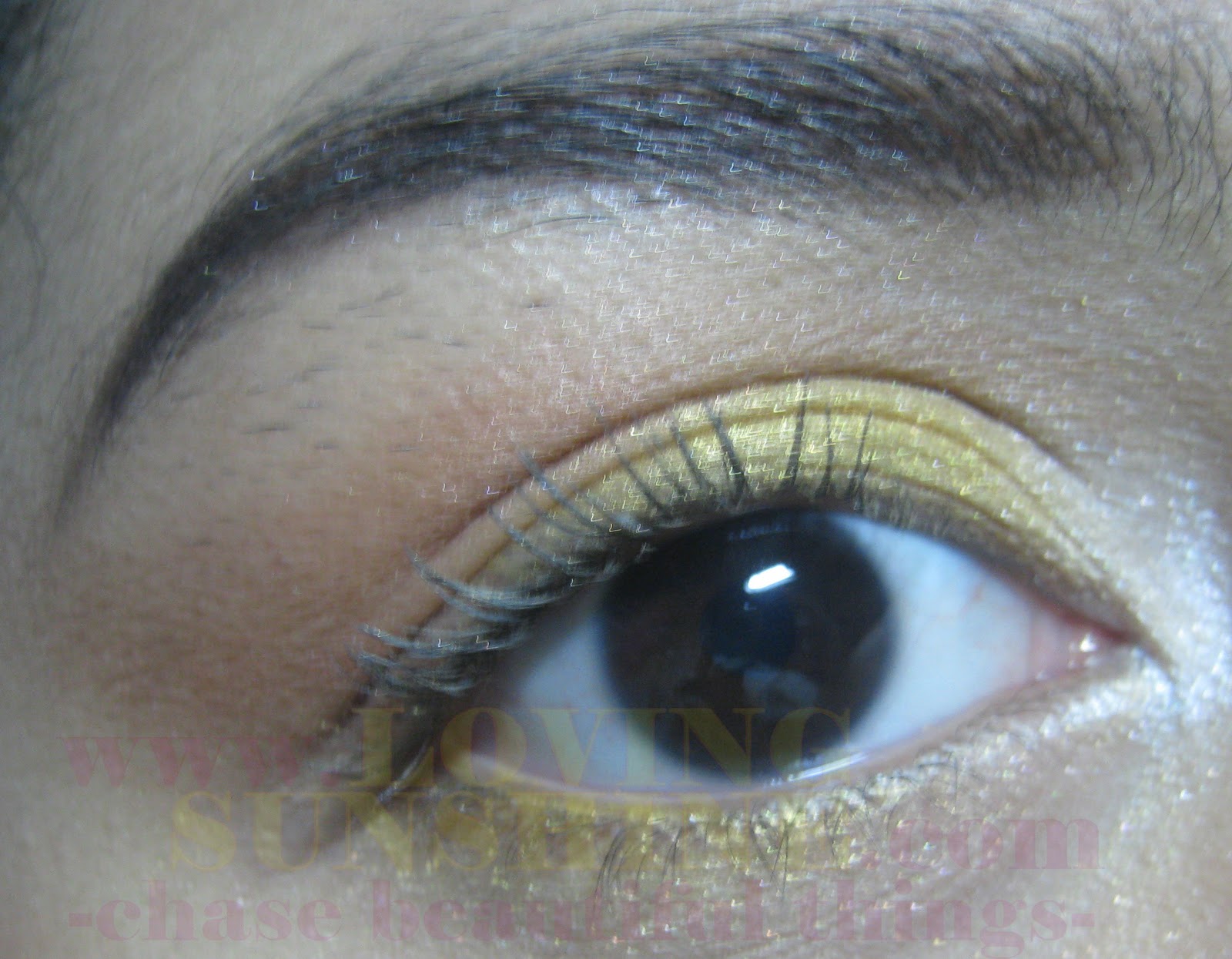 Makeup Sponges VS Makeup Brushes