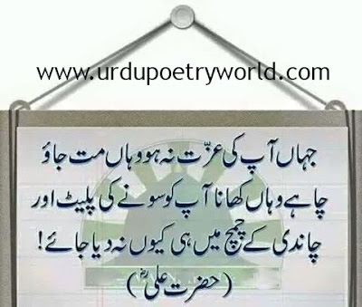 Quotes,Urdu Quotes, Best Quotes,Islamic Quotes,Quotes About Life