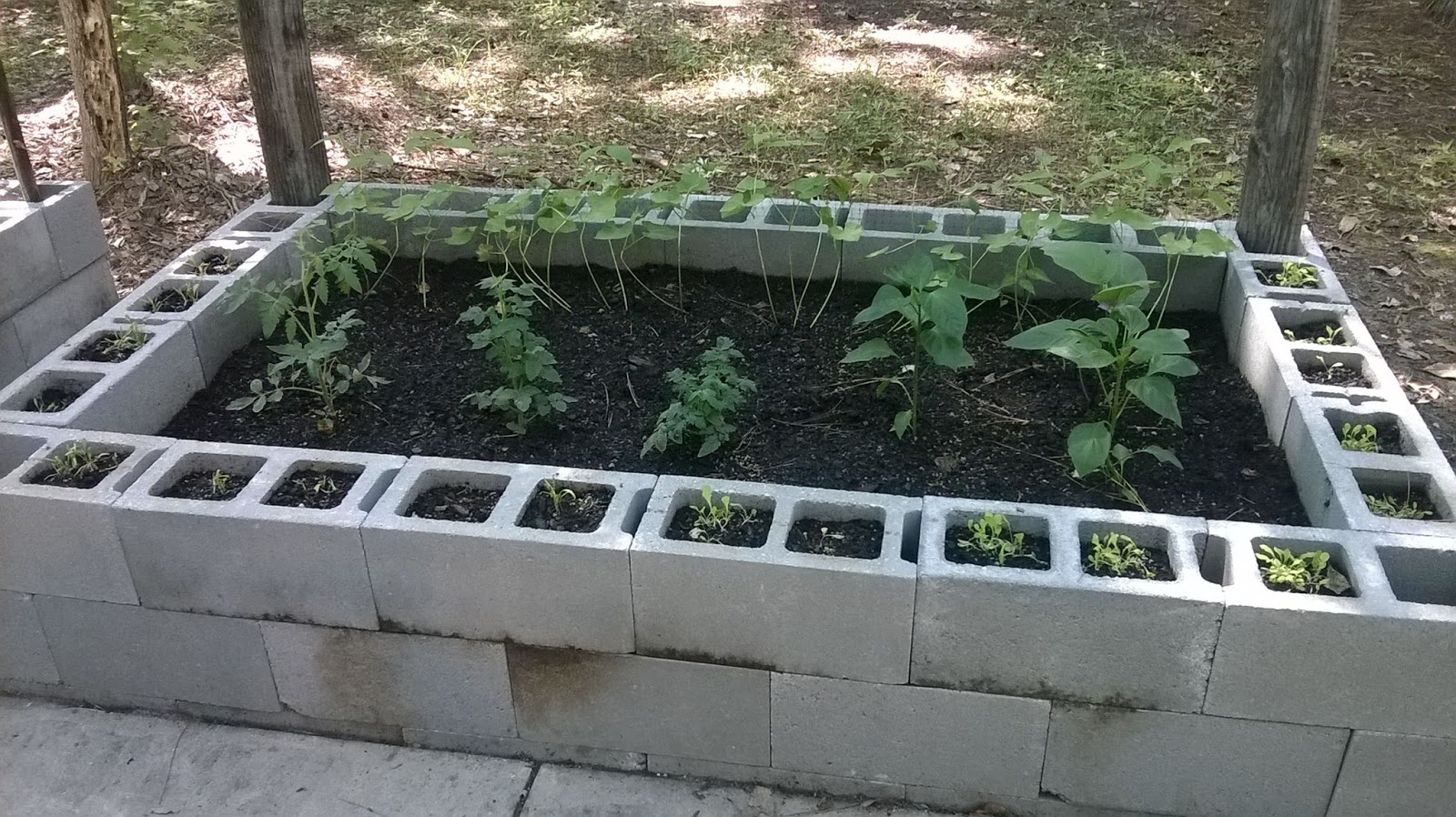 The Time We Bought A Fixer Upper The Time We Built Concrete Block