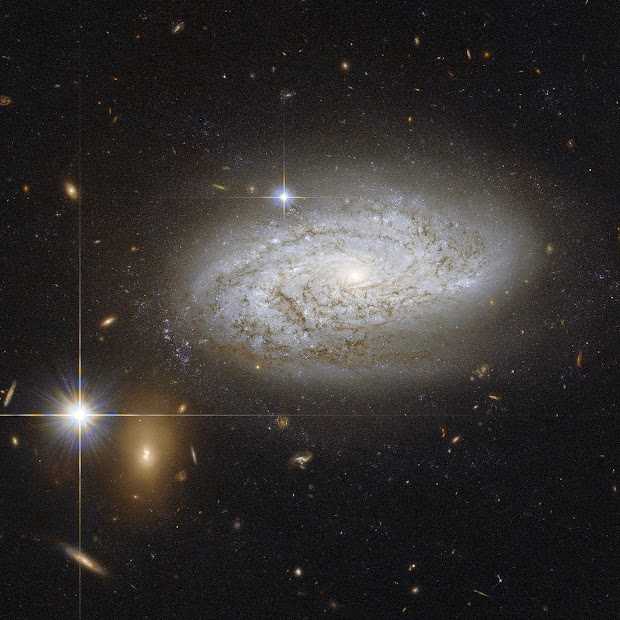 Spiral Galaxy NGC 3021