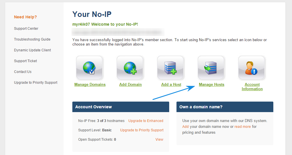 Noip com. No-IP. No-IP domain name. Button Manager.