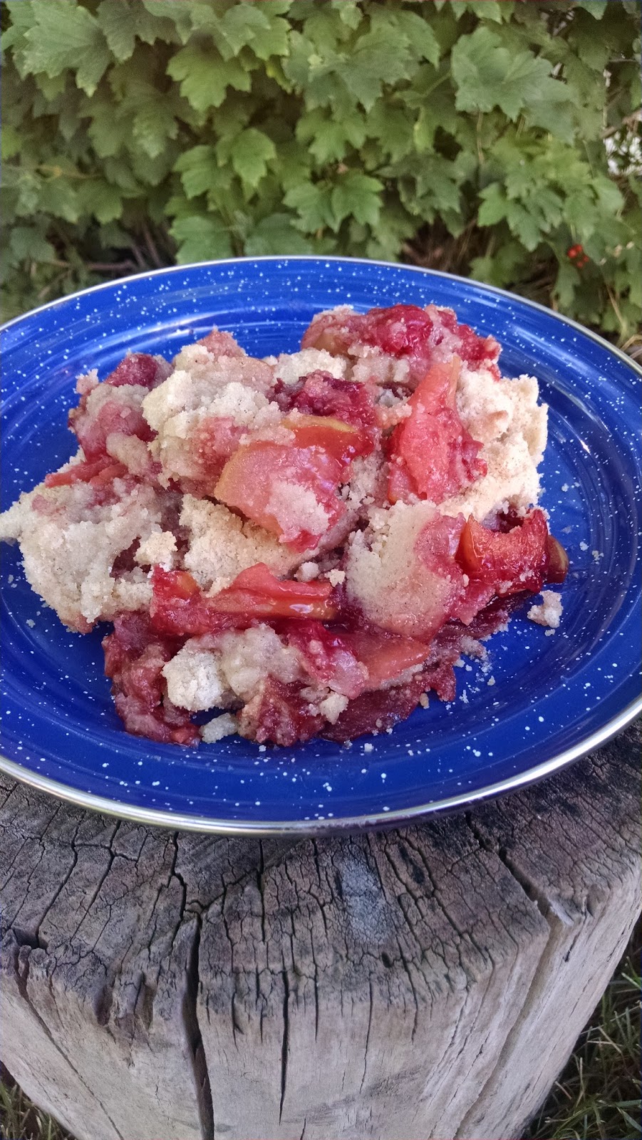 Kevin's Outdoor Cooking Dutch Oven Apple Cherry Cobbler