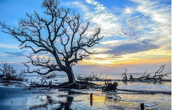 Hunting Island Beach